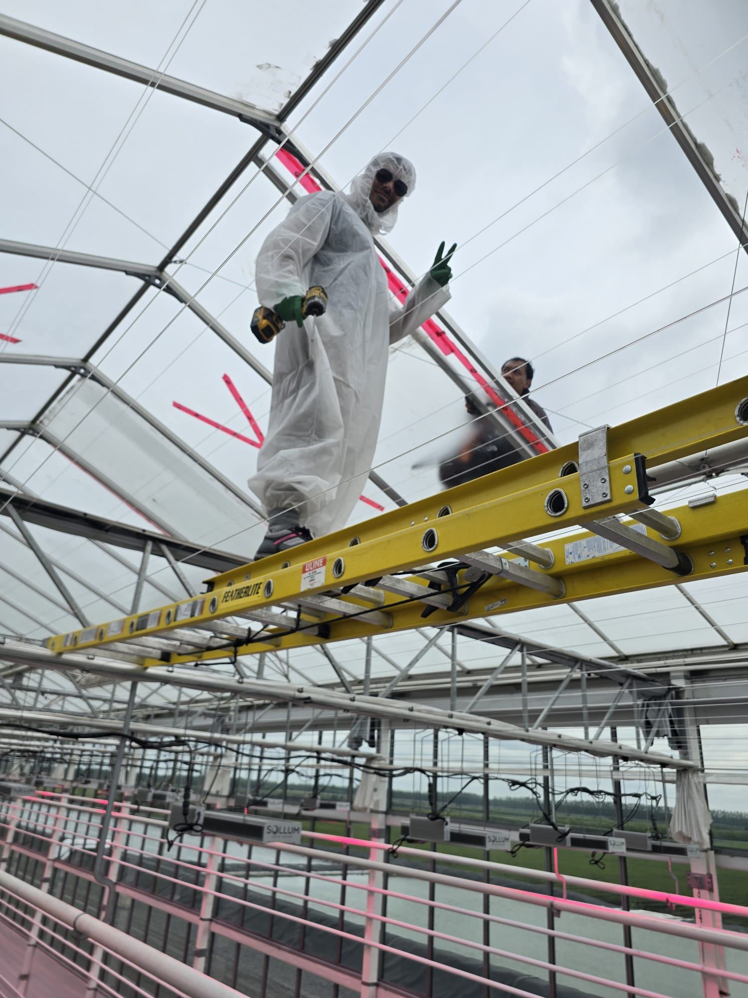 Crew installing supplemental lighting systems inside a commercial greenhouse