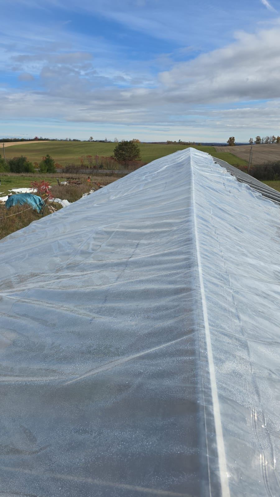 Poly roof ridge line on a commercial greenhouse structure