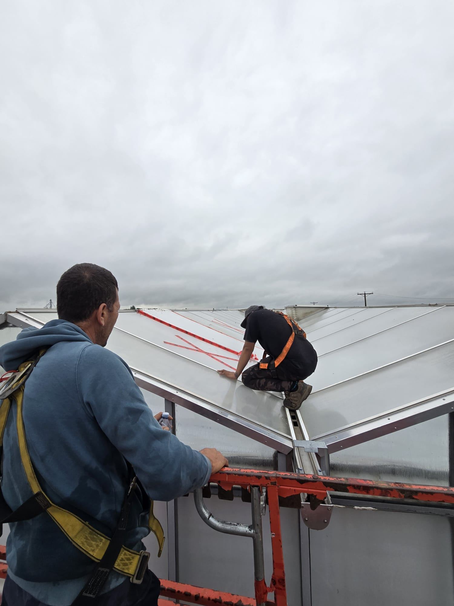 Crew installing and measuring a commercial greenhouse roof ridge
